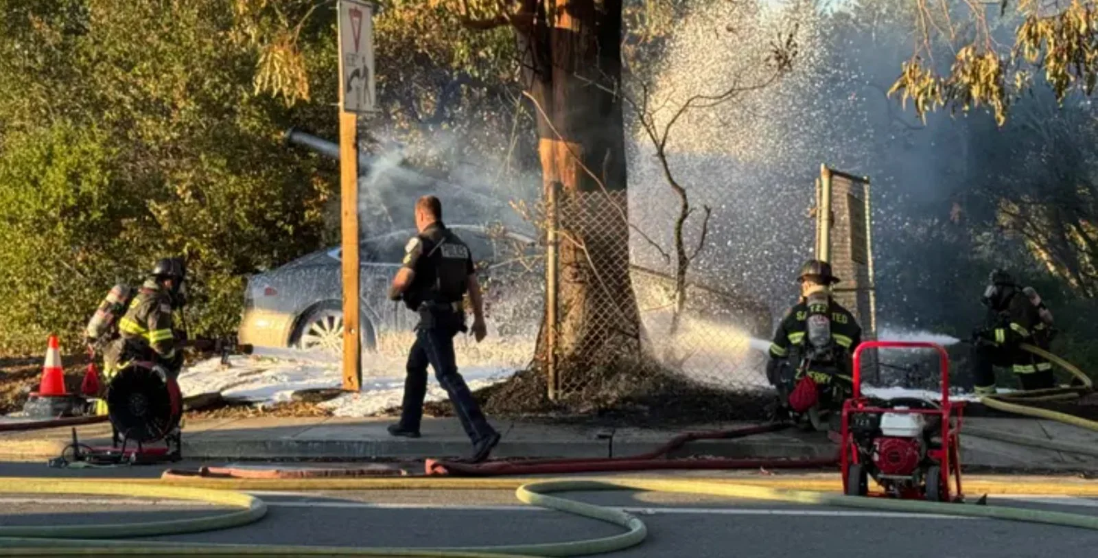 Tesla Faces Scrutiny After Record Driver-Assist Crashes in July